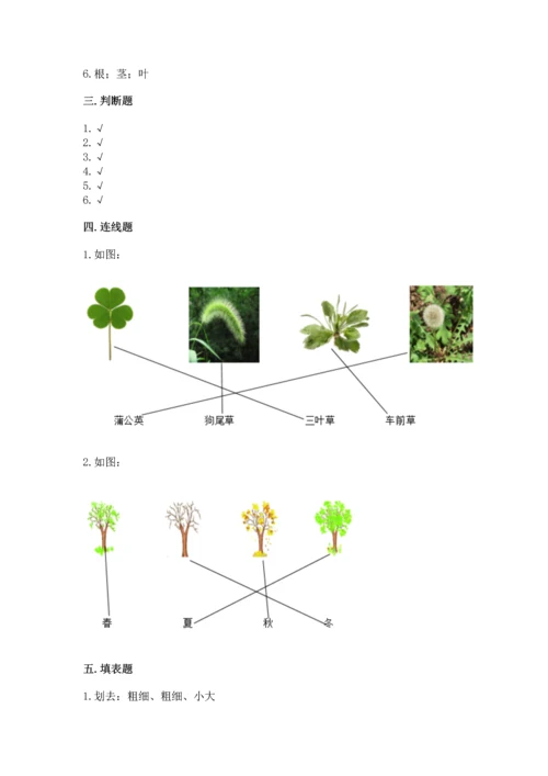 教科版科学一年级上册第一单元《植物》测试卷精品【夺冠系列】.docx