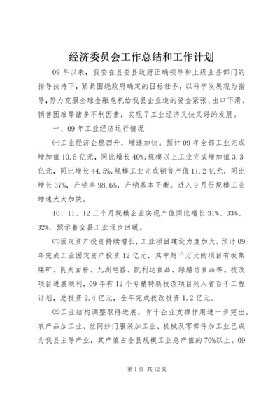 经济委员会工作总结和工作计划 (2).docx