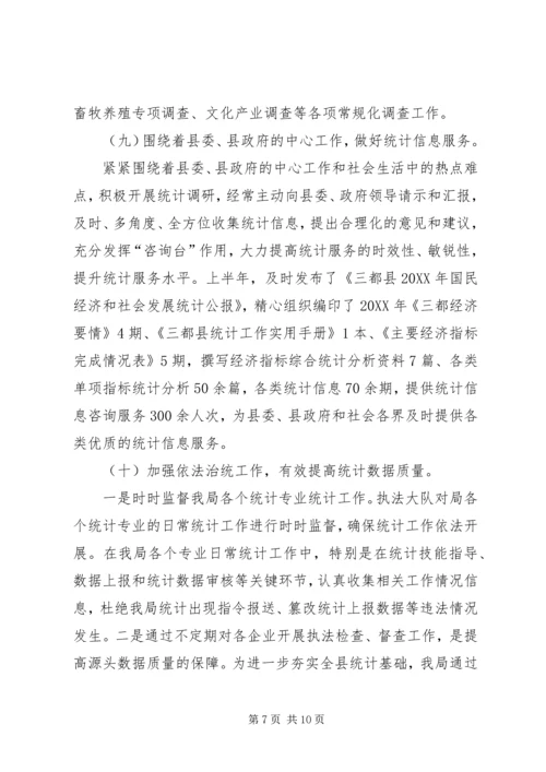 统计局上半年工作总结及下半年工作计划.docx