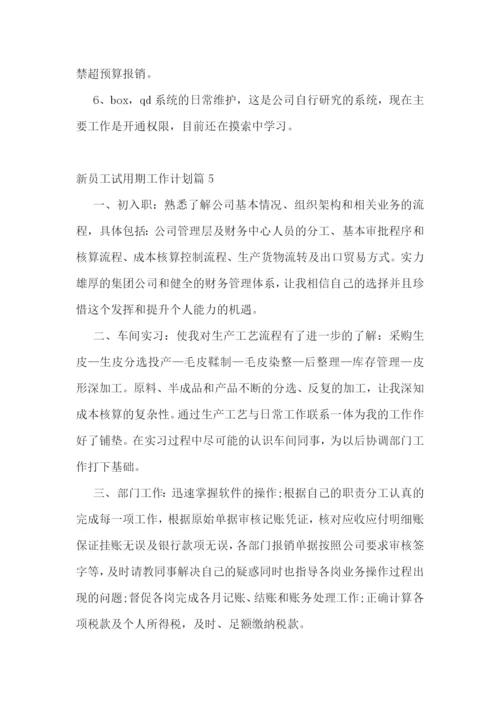 新员工试用期工作计划.docx