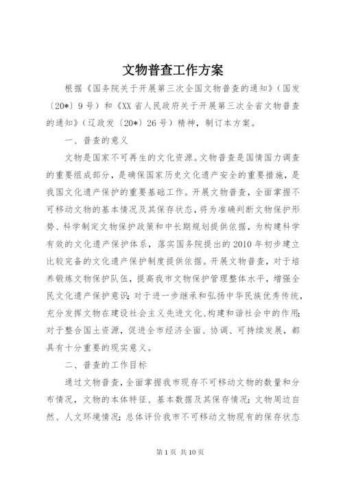 文物普查工作方案.docx