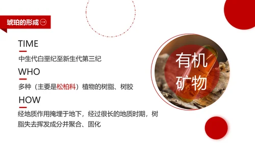 典雅轻奢琥珀藏品专业知识讲座PPT模板