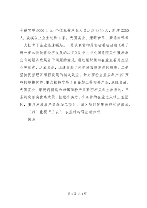 某镇关于工作总结及下半年工作计划的报告 (3).docx