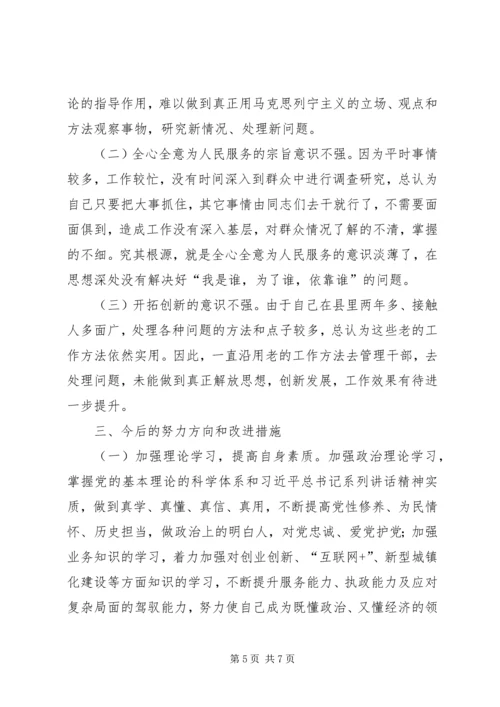 副县级领导民主生活会发言提纲.docx