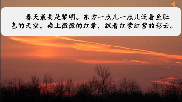 《四季之美》