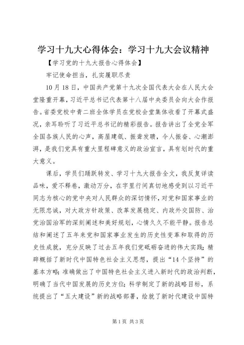学习十九大心得体会：学习十九大会议精神 (2).docx