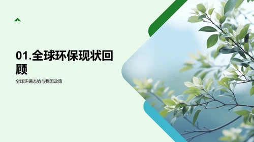 环保研究：走向绿色未来