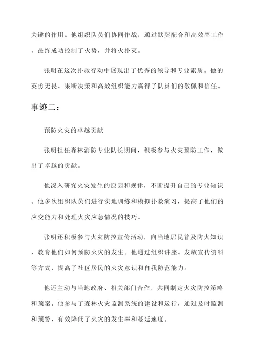 森林消防专业队长个人事迹