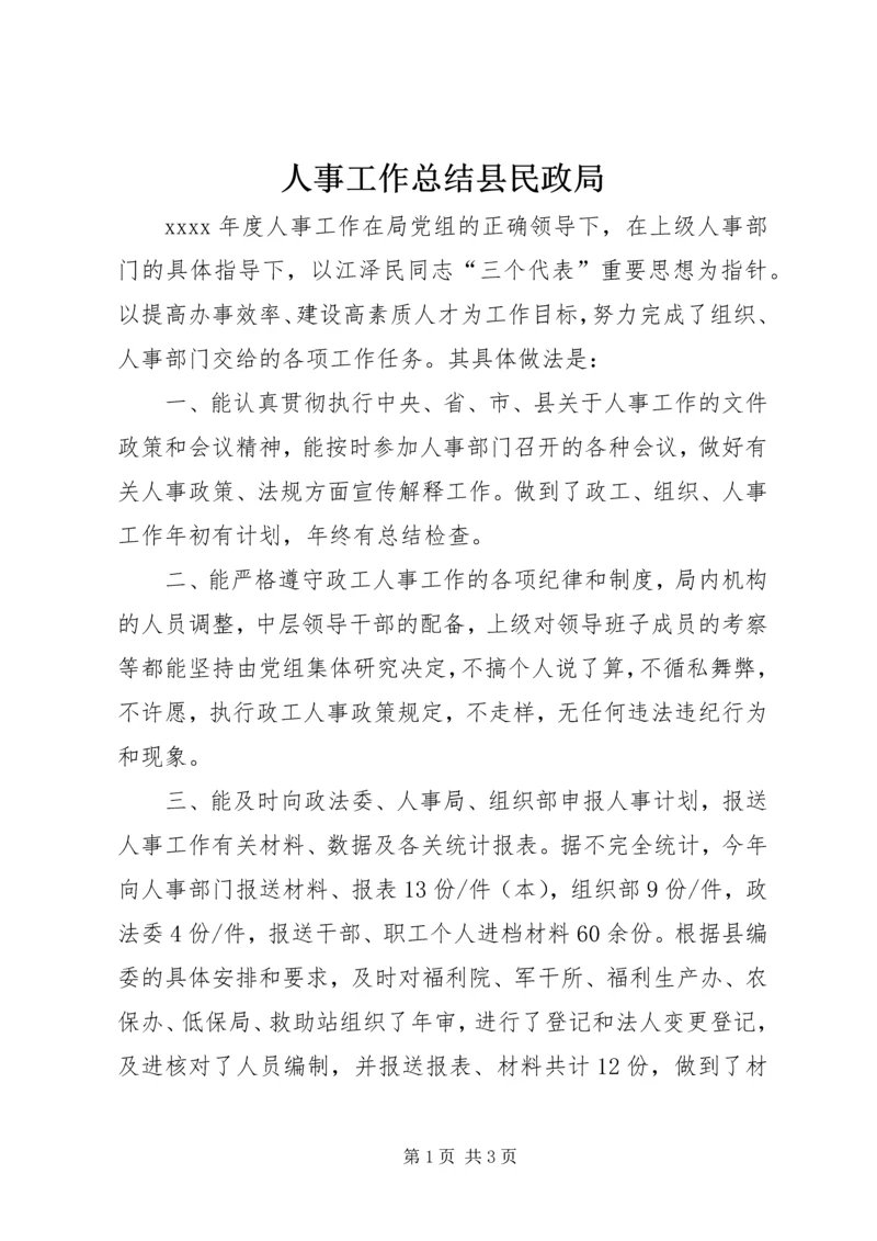 人事工作总结县民政局.docx