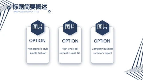公司品牌策划方案工作总结计划动态PPT模板