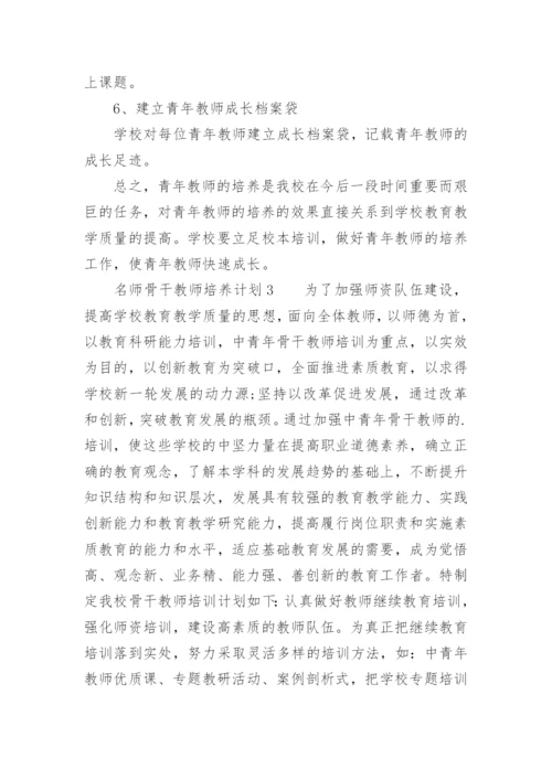 名师骨干教师培养计划.docx