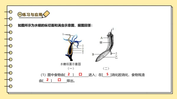 人教版生物八上 5.1无脊椎动物汇总 同步备课课件(共23张PPT)