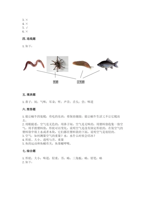 教科版小学科学一年级下册期末测试卷附参考答案（研优卷）.docx