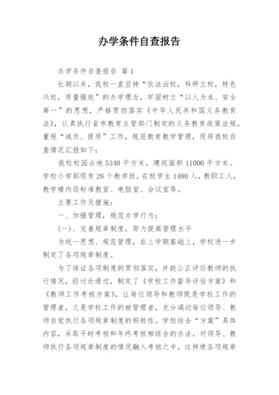 办学条件自查报告.docx