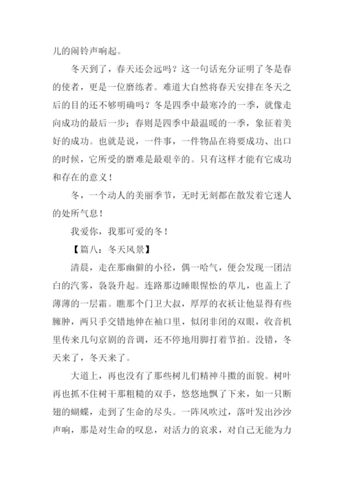 描写冬天风景的作文.docx