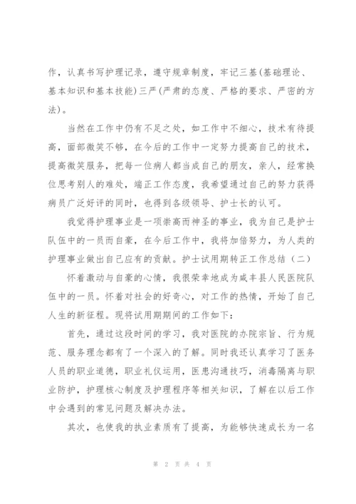 护士试用期转正工作总结.docx