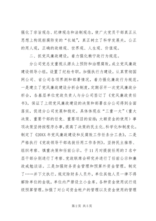 电力公司党风廉政建设自查报告.docx