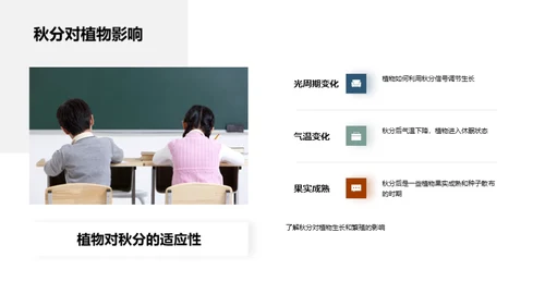 秋分科学探索