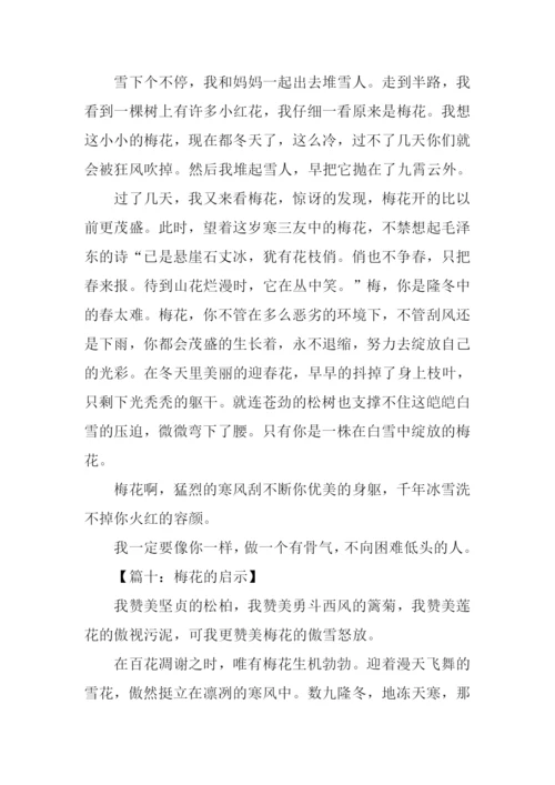 梅花的启示作文.docx