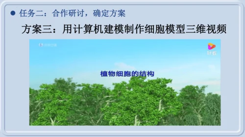 综合实践项目1制作细胞模型（课件）（人教版2024）-【跨学科实践】七年级生物上册跨学科实践备课包（