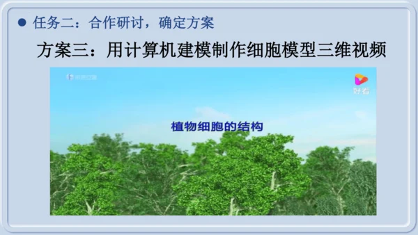 综合实践项目1制作细胞模型（课件）（人教版2024）-【跨学科实践】七年级生物上册跨学科实践备课包（
