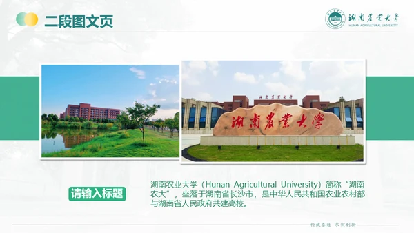 湖南农业大学毕业课题答辩通用PPT模板