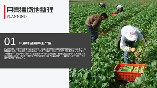 生态园景区渡假村规划设计方案通用PPT模板
