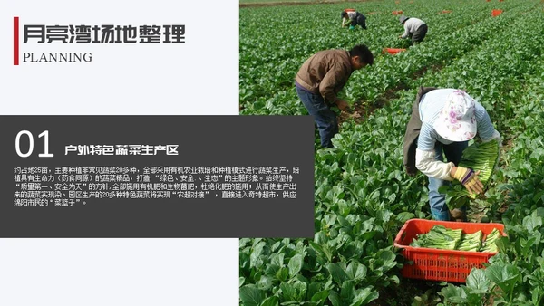 生态园景区渡假村规划设计方案通用PPT模板