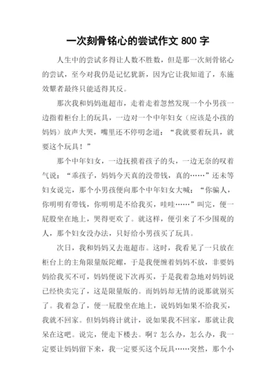 一次刻骨铭心的尝试作文800字.docx