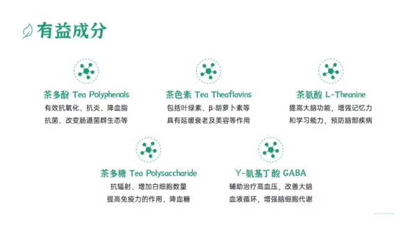 绿色清新风一杯抹茶产品介绍通用PPT模板