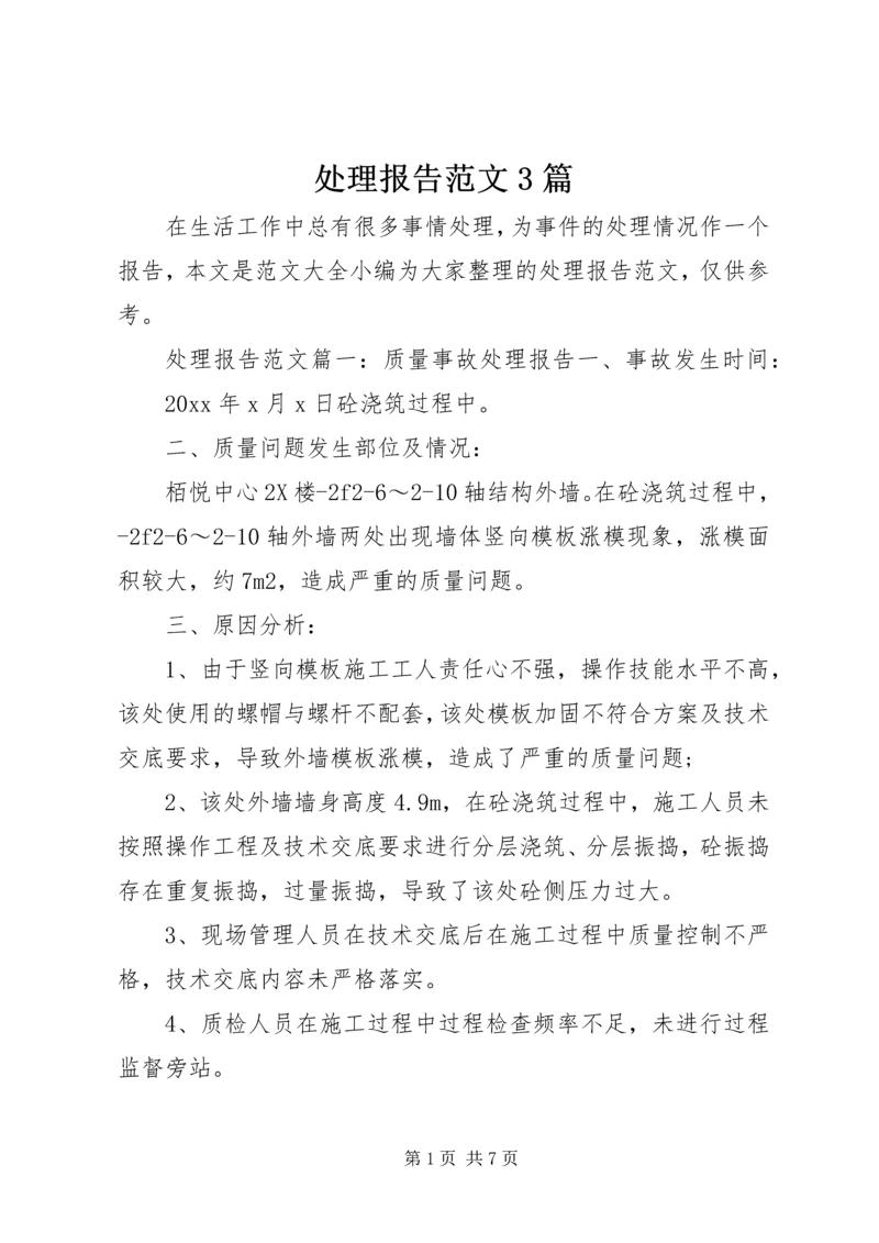 处理报告范文3篇.docx