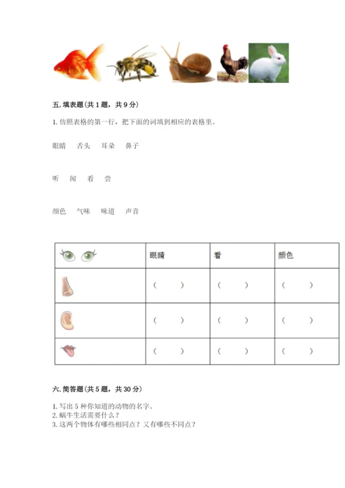 教科版一年级下册科学期末测试卷（完整版）.docx