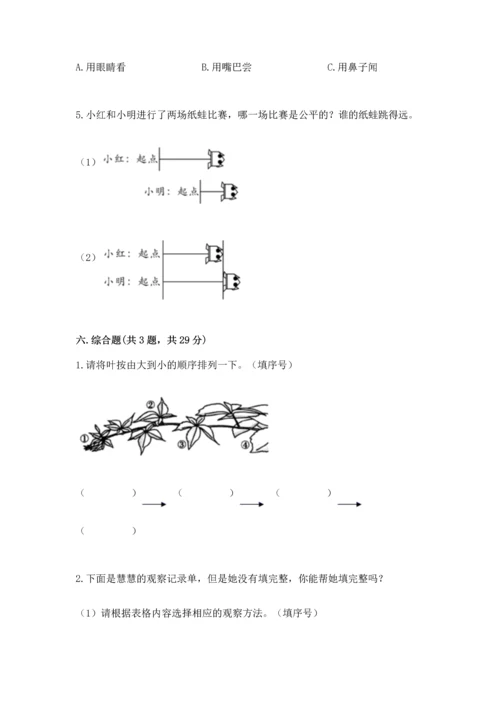 教科版一年级上册科学期末测试卷及参考答案1套.docx