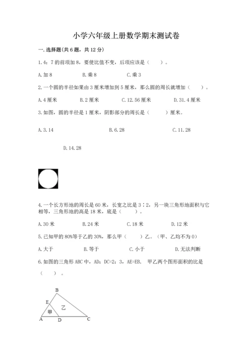 小学六年级上册数学期末测试卷及完整答案【典优】.docx