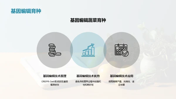 农业科技助力种植