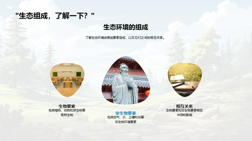 生态平衡与食物链