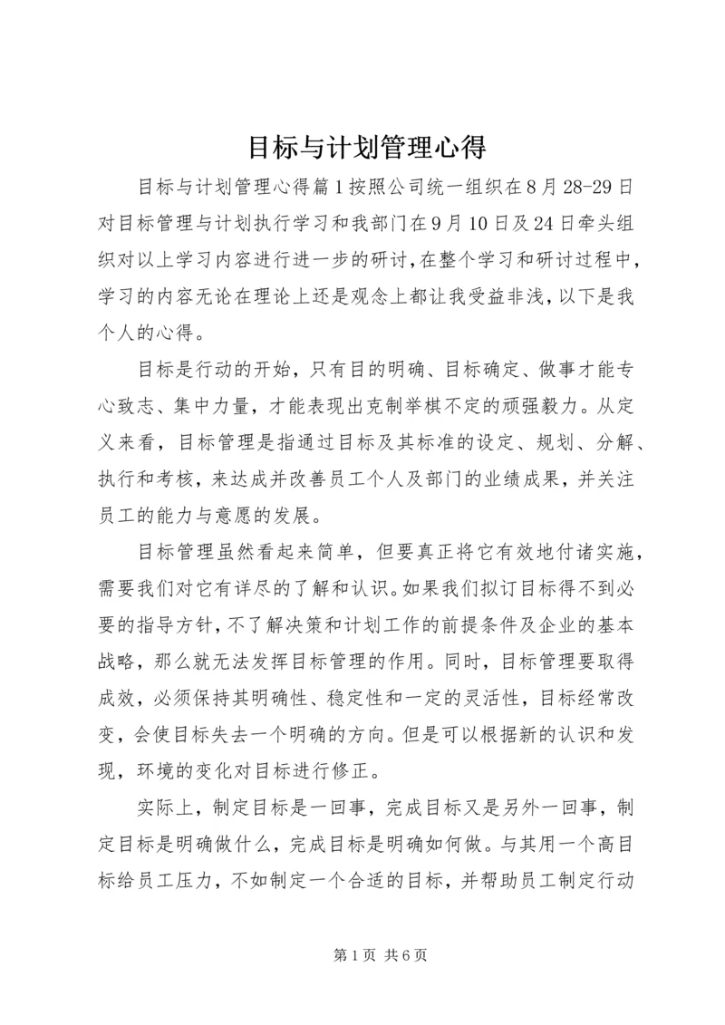 目标与计划管理心得.docx