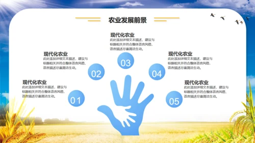 农业项目招商融资报告通用PPT模板