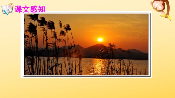 3 现代诗二首  课件