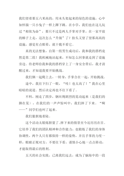 成长的足迹作文-8.docx