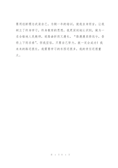 新教师培训工作总结.docx