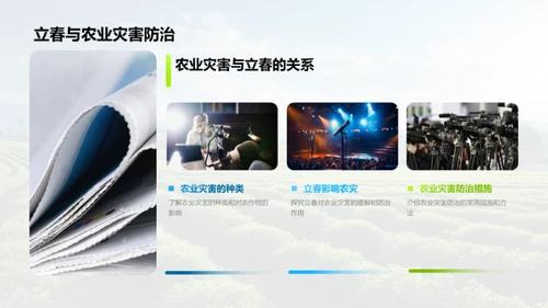 立春节气的奥秘解析