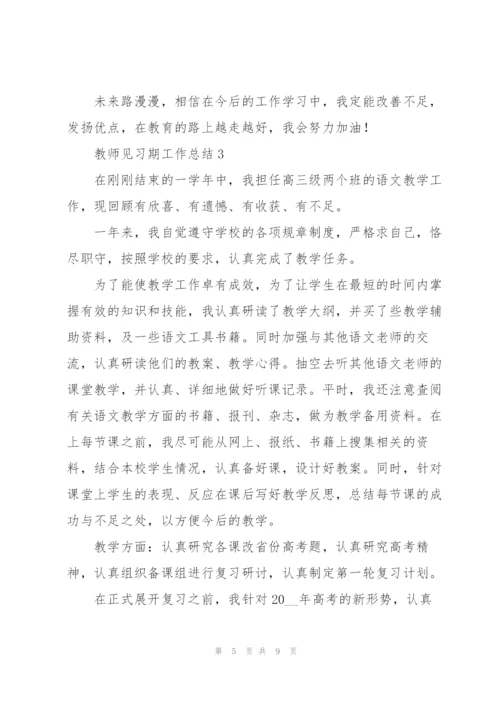 教师见习期工作总结三篇.docx