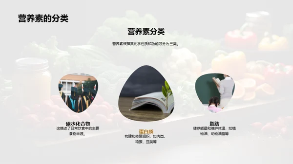 营养饮食与健康生活