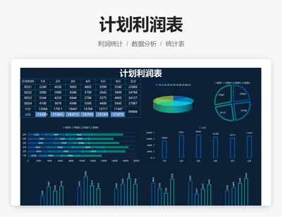 计划利润表