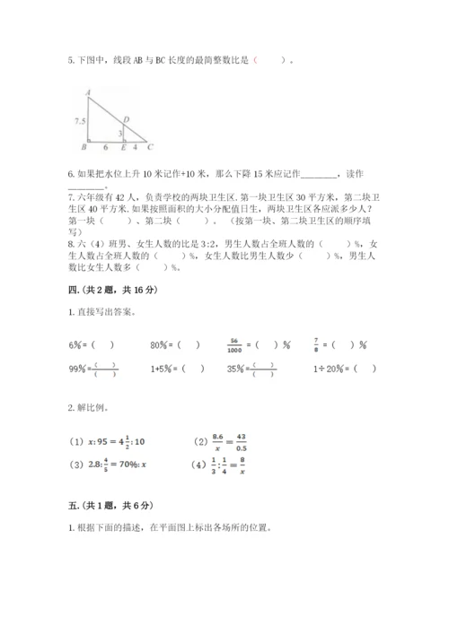 河南省平顶山市六年级下册数学期末测试卷精品（基础题）.docx