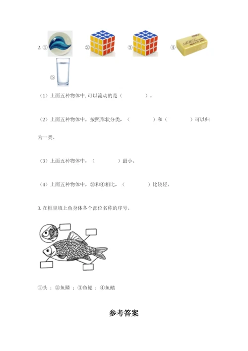教科版一年级下册科学期末测试卷附答案（达标题）.docx