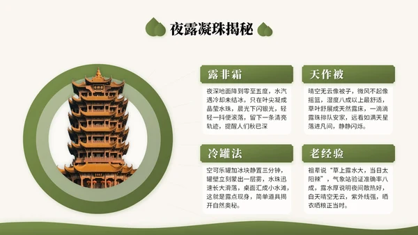 橄榄绿中国风二十四节气之白露节气知识讲座PPT模版