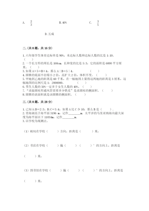 西师大版小升初数学模拟试卷（典优）.docx
