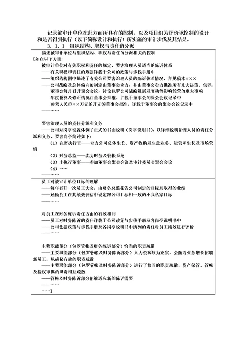 总体审计策略记录模式范例